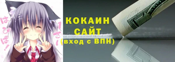 амф Козельск
