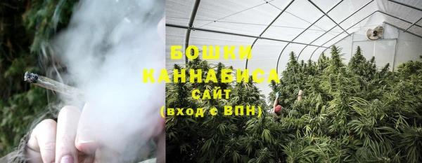 амф Козельск