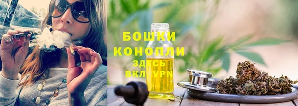 амф Козельск